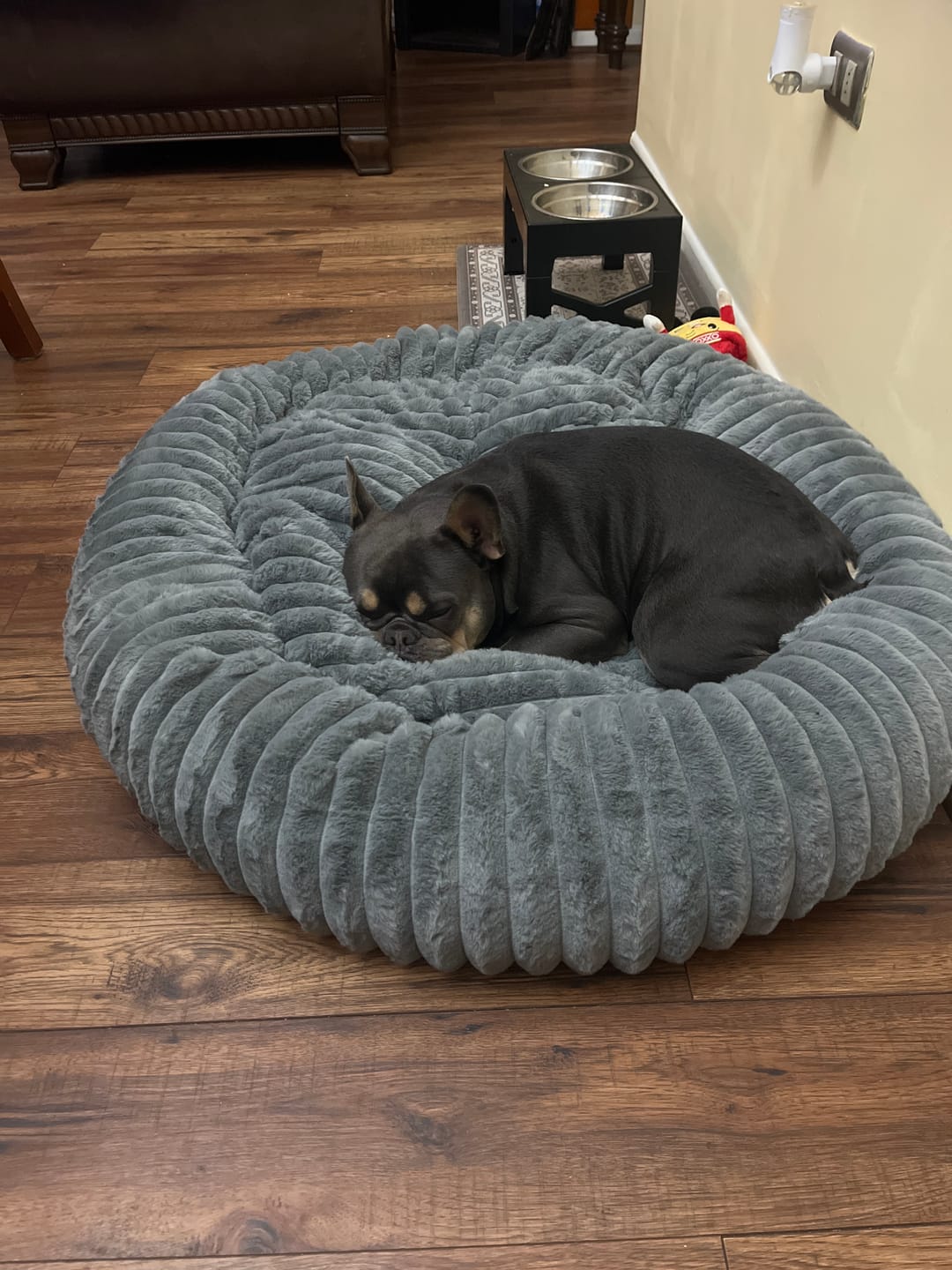Customer photo review of Luxury Edition: Cama Anti-Estrés THE DOGS