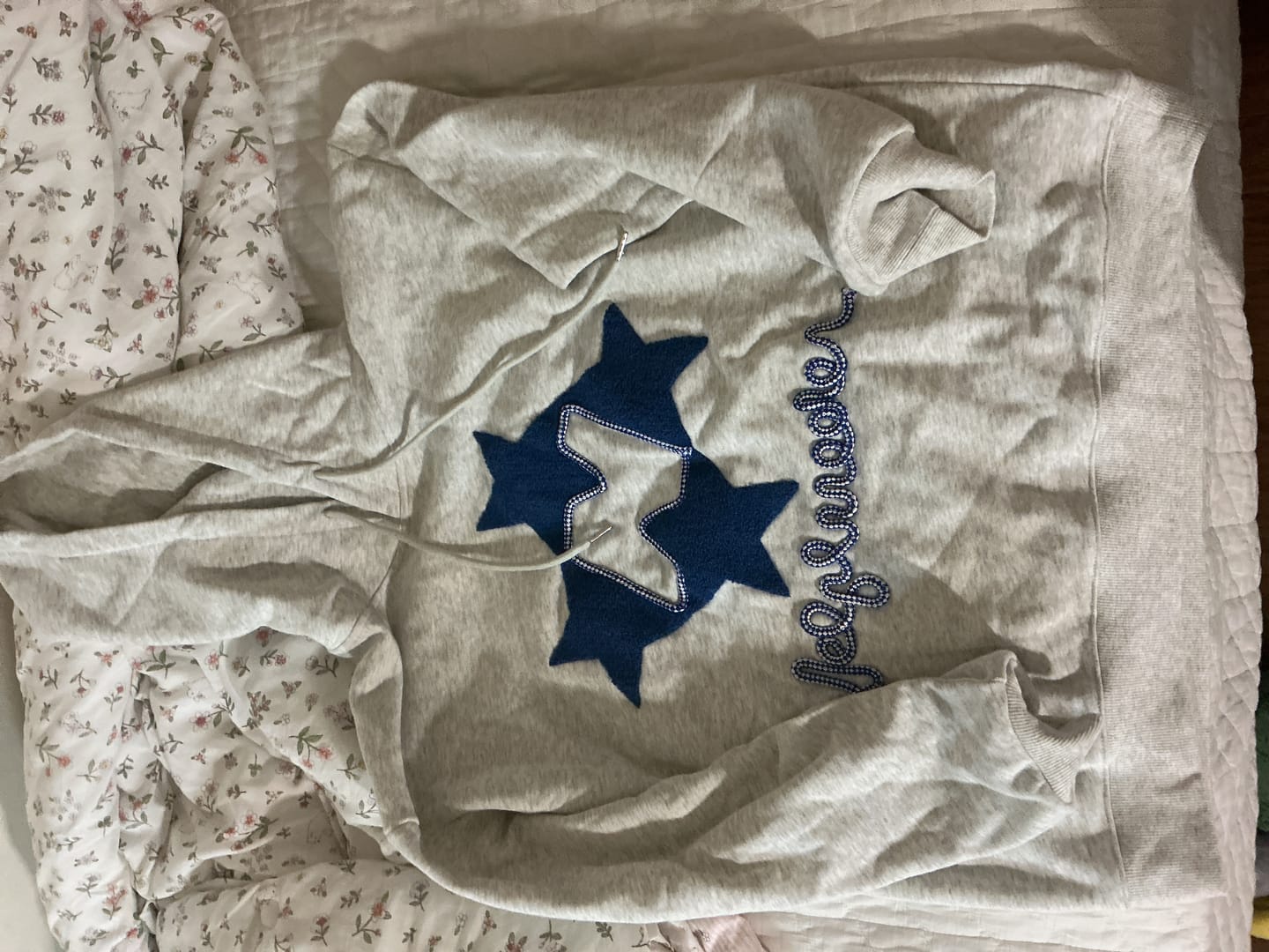 Customer photo review of Aelfric Eden Stellaris Embroidered Hoodie
