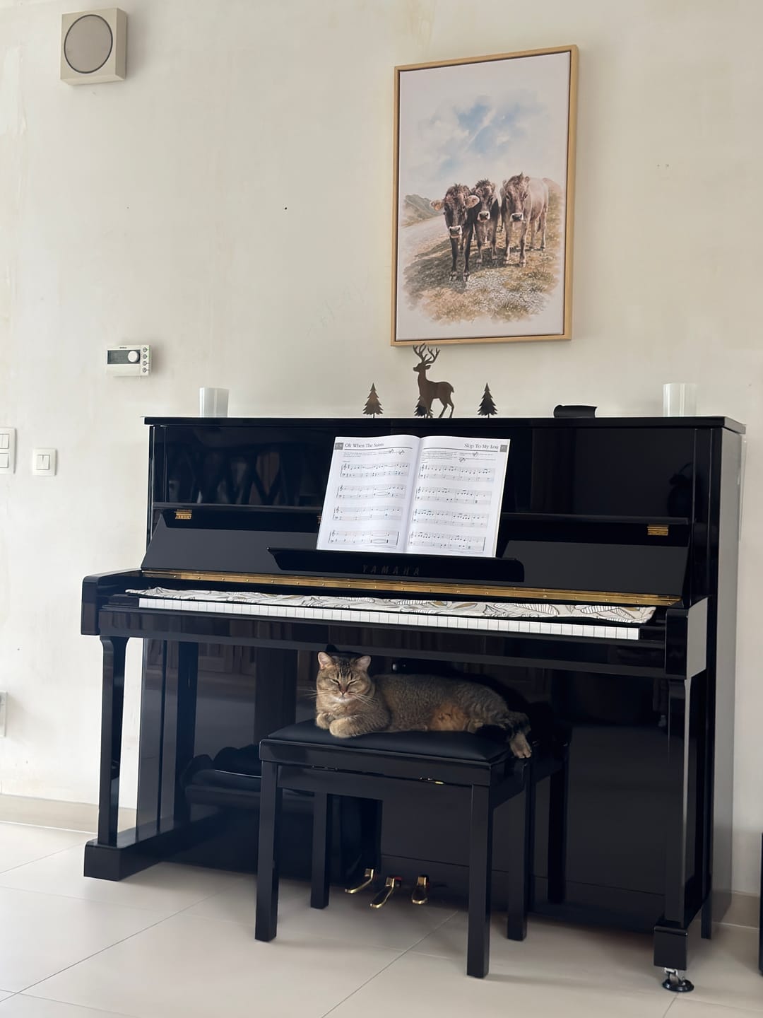Customer photo review of Euer Foto als Kunstwerk – mit Live-Vorschau, als Poster oder Leinwand