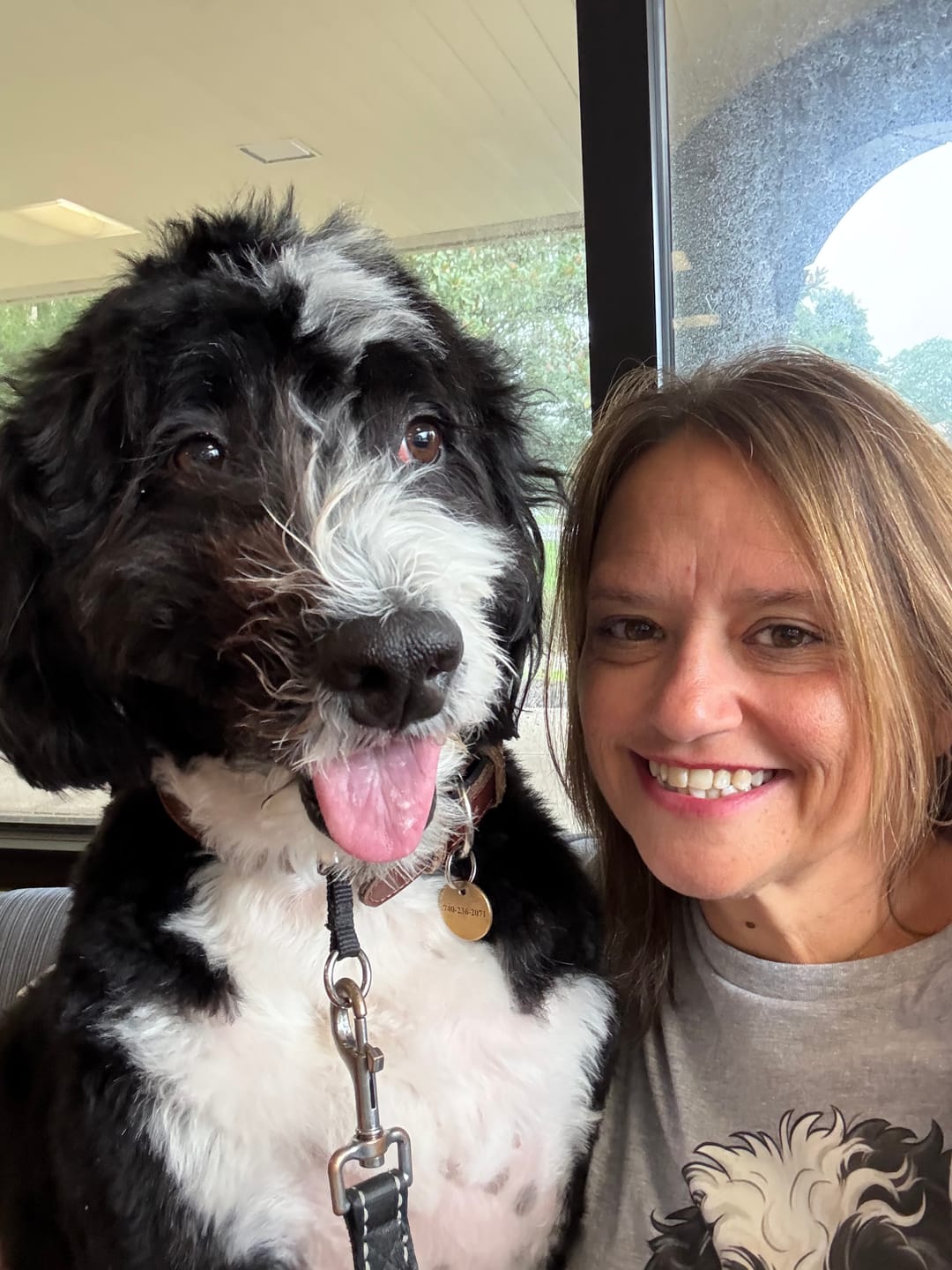 Customer photo review of Funny Sheepadoodle Peeking T-Shirt