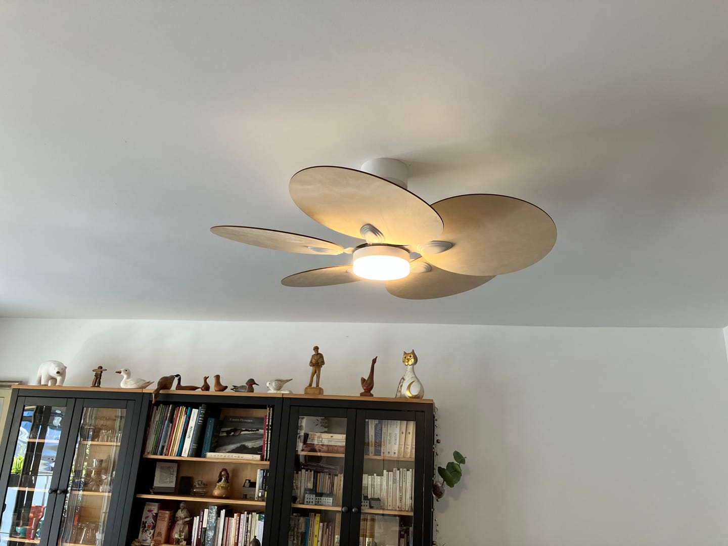 Customer photo review of Lotus | Ventilateur de plafond – Ø 105 cm