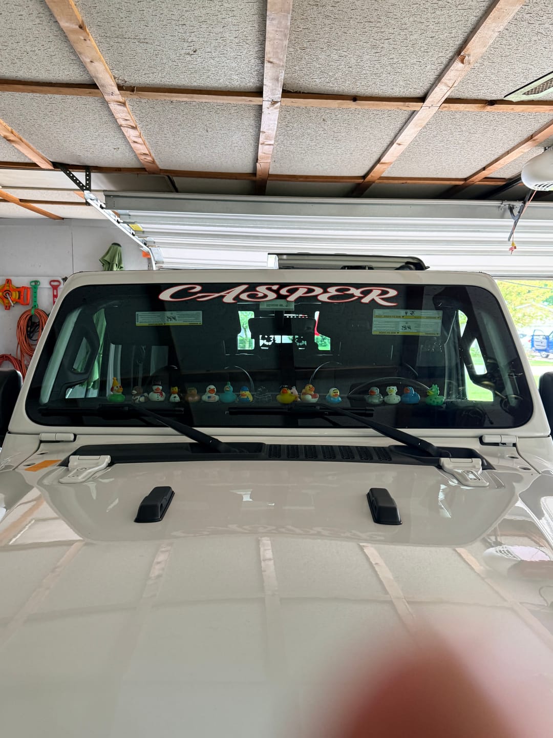Customer photo review of Windshield Lettering