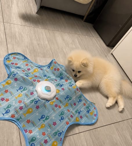 Customer photo review of Pawzzle™ Interactive Dog Toy