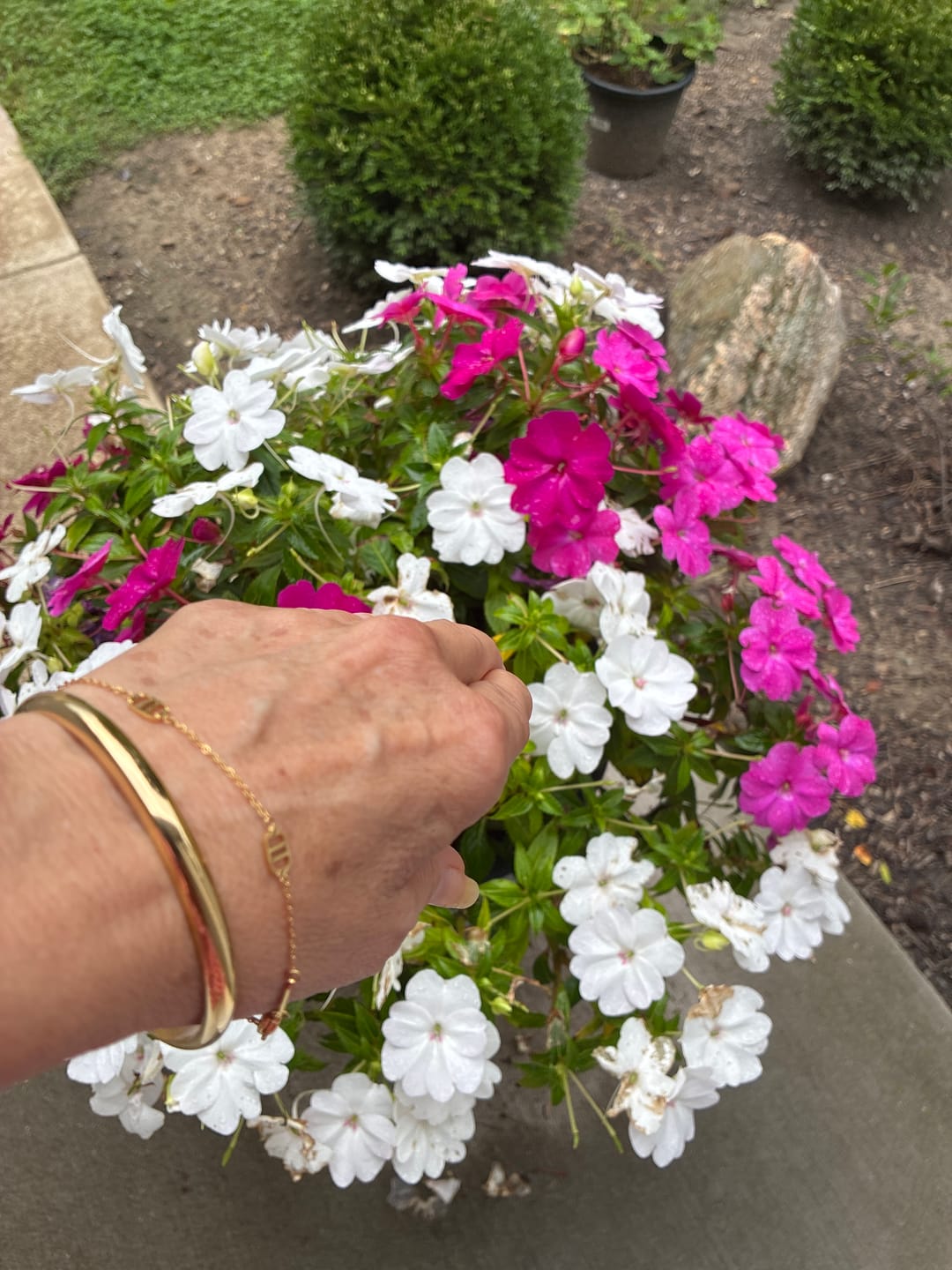Customer photo review of Classic Chunky Gold Bangle