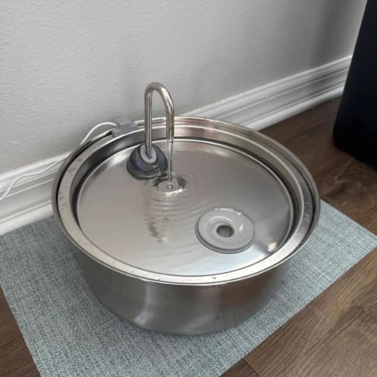 Customer photo review of Pawlyn PureSip itató