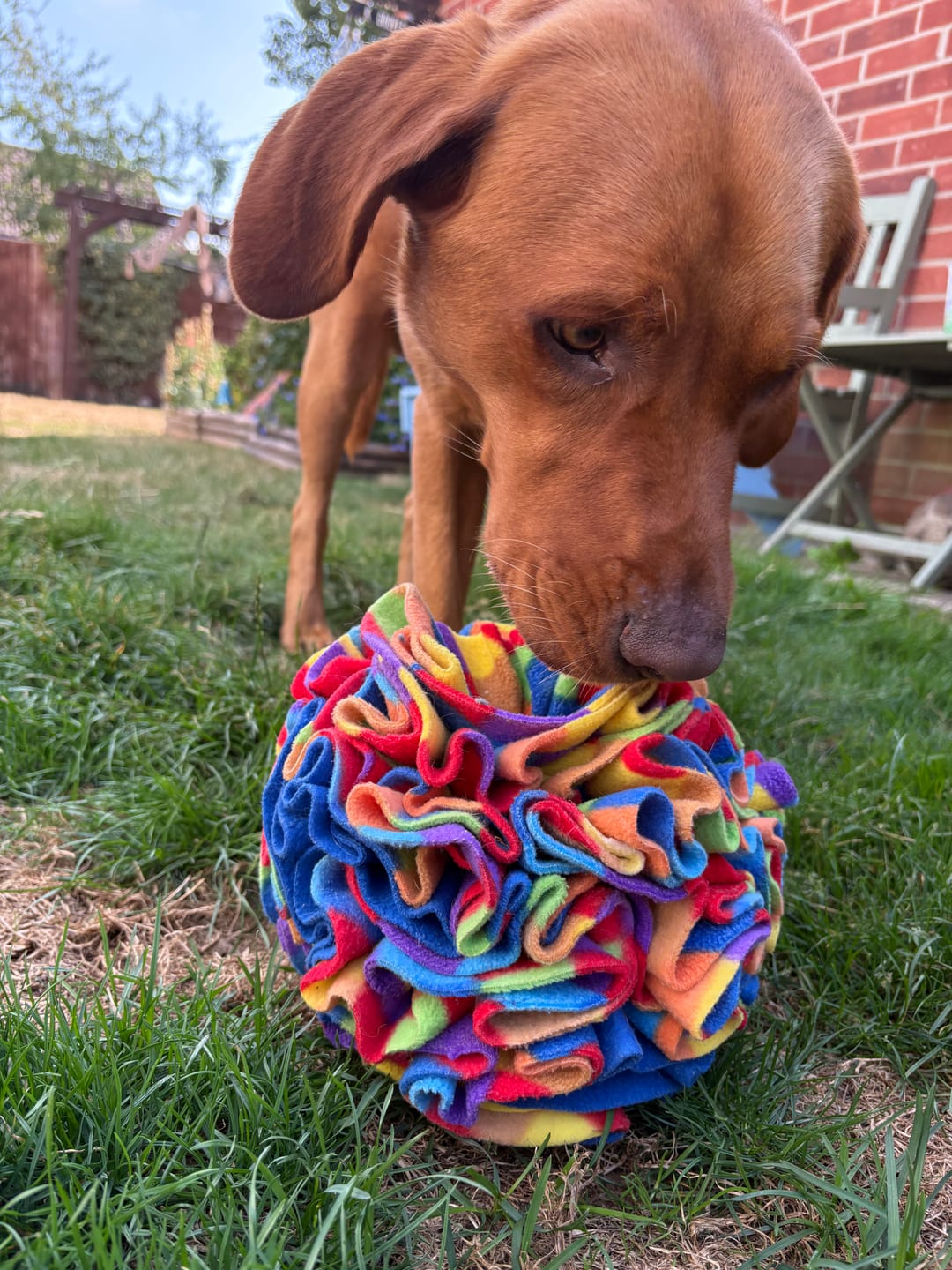 Customer photo review of Multicoloured Squares Anti Pill Polar Fleece Fabric