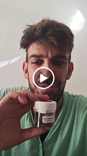 Customer video review of THC-A 36% Flower Granddaddy Purple