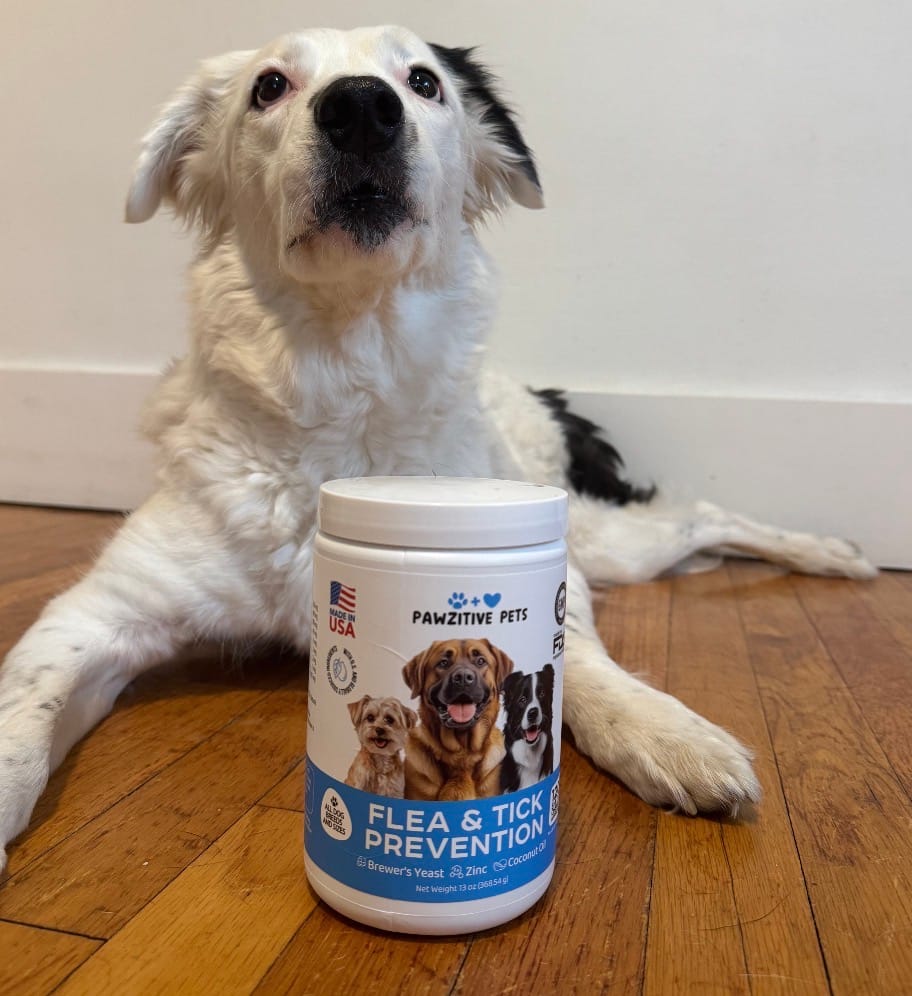 Customer photo review of Dog Flea and Tick Prevention for Outdoor & Seasonal Protection – Skin & Coat Support, 120 Soft Chews (Beef Flavor)