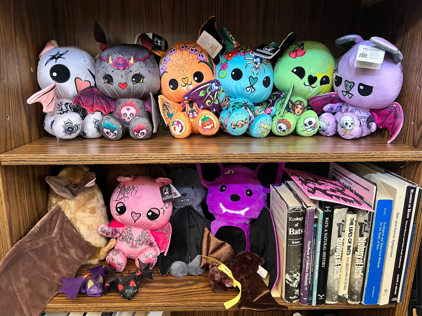 Customer photo review of Slate the Bat Plushie