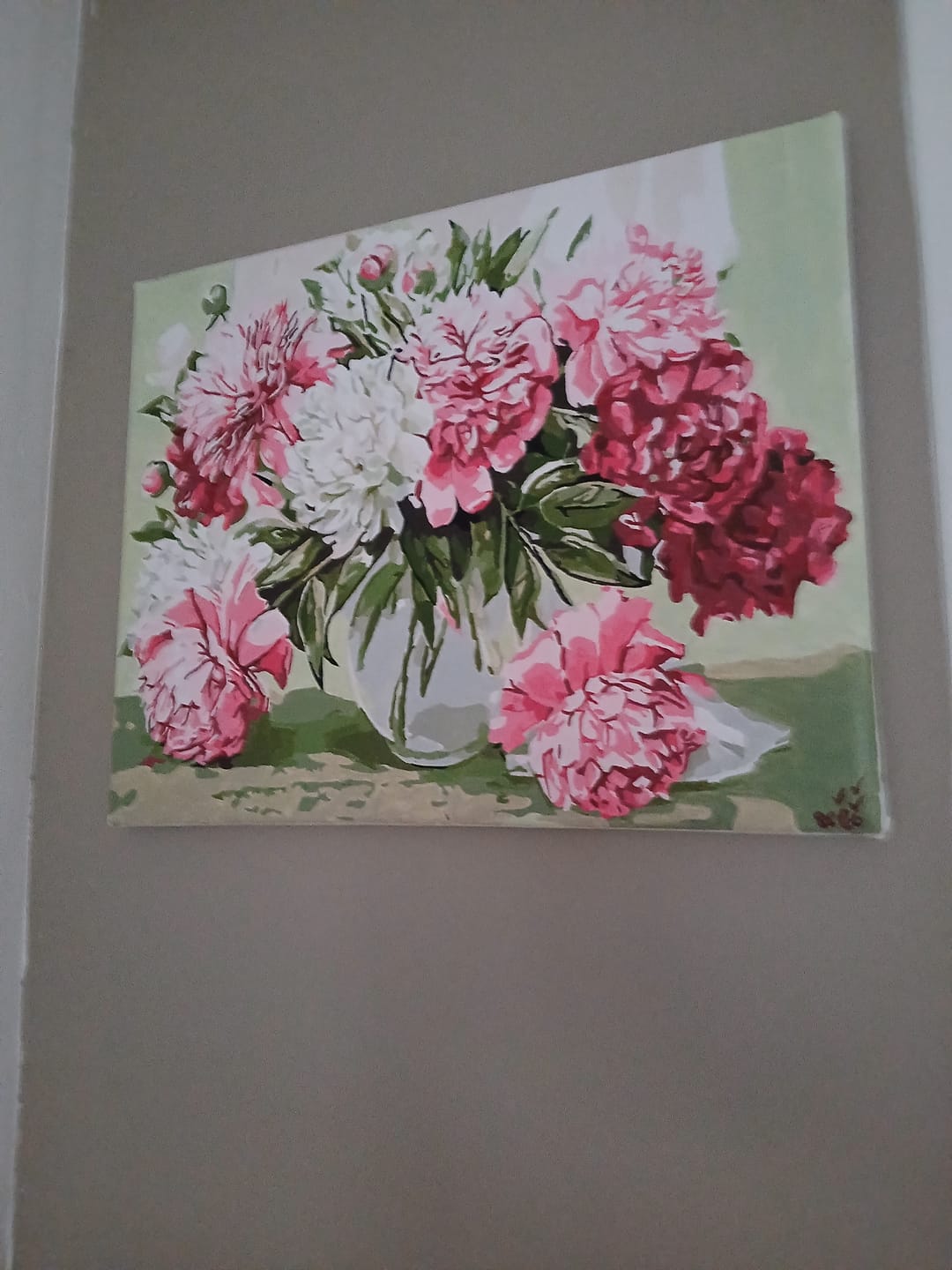 Customer photo review of Jolies Pivoines épanouies