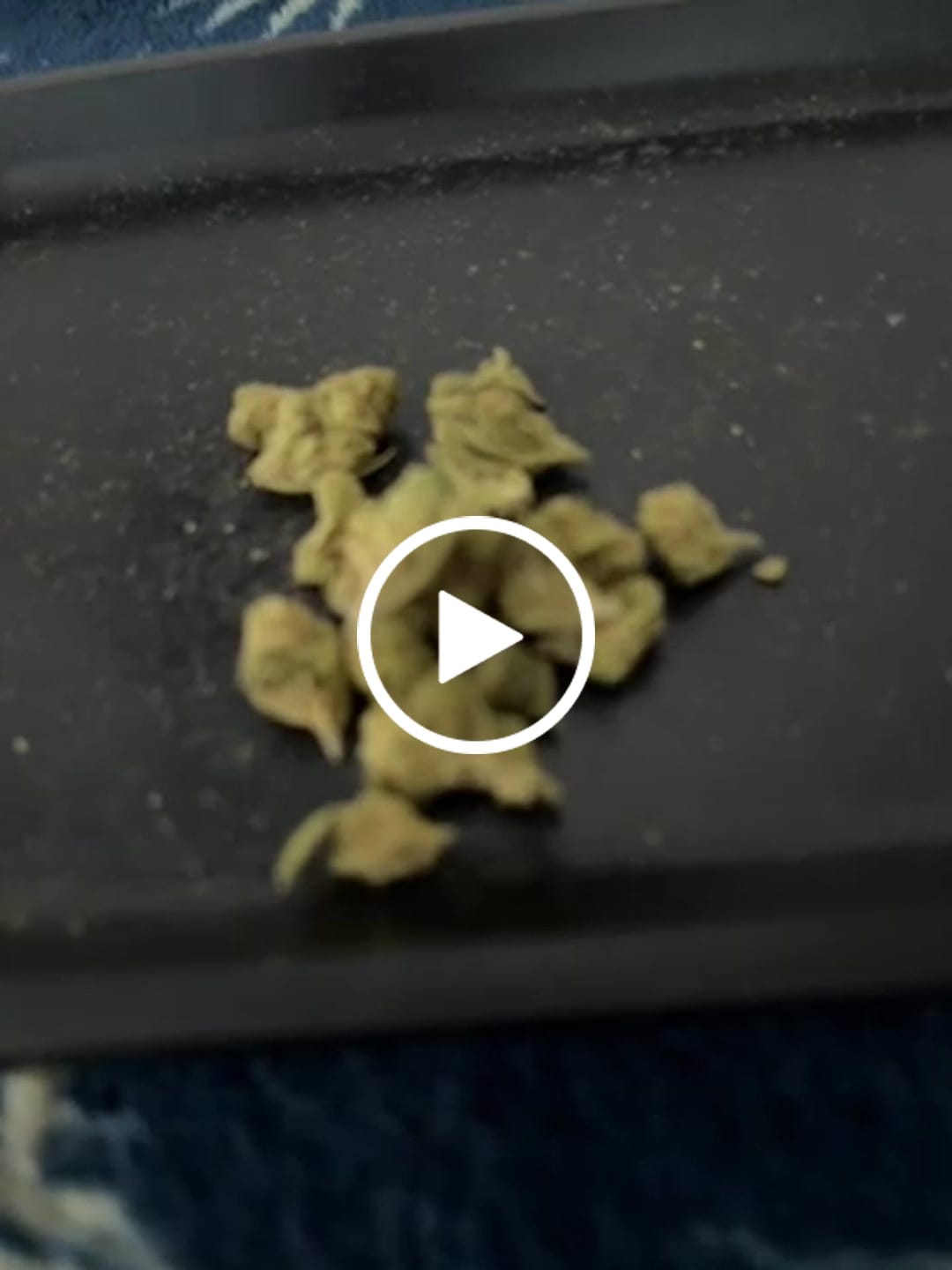 Customer video review of Papaya Punch (Indoor Smalls) - THCA Flower
