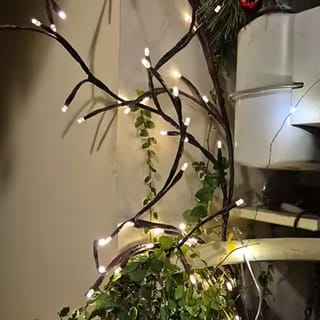 Customer photo review of Auralis | Rama de Luces LED Decorativa para Pared