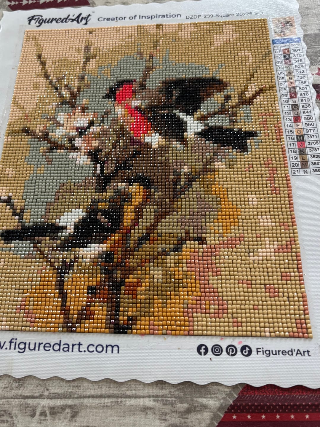 Customer photo review of Broderie Diamant - Oiseaux sur Branche