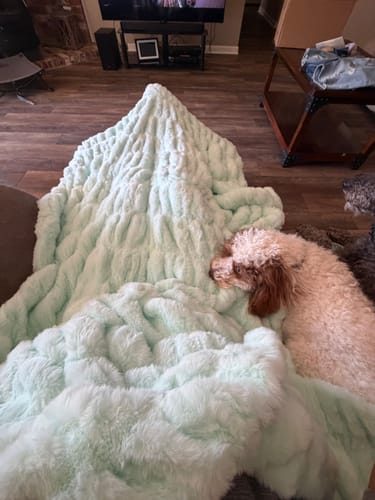 Customer's Hugs Light Aqua Serene blanket spread out on a living room floor next to a dog.