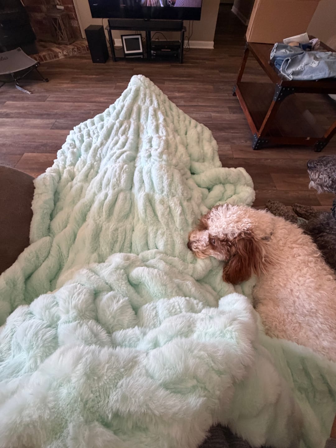 Customer photo review of Hugs Light Aqua Serene Blanket