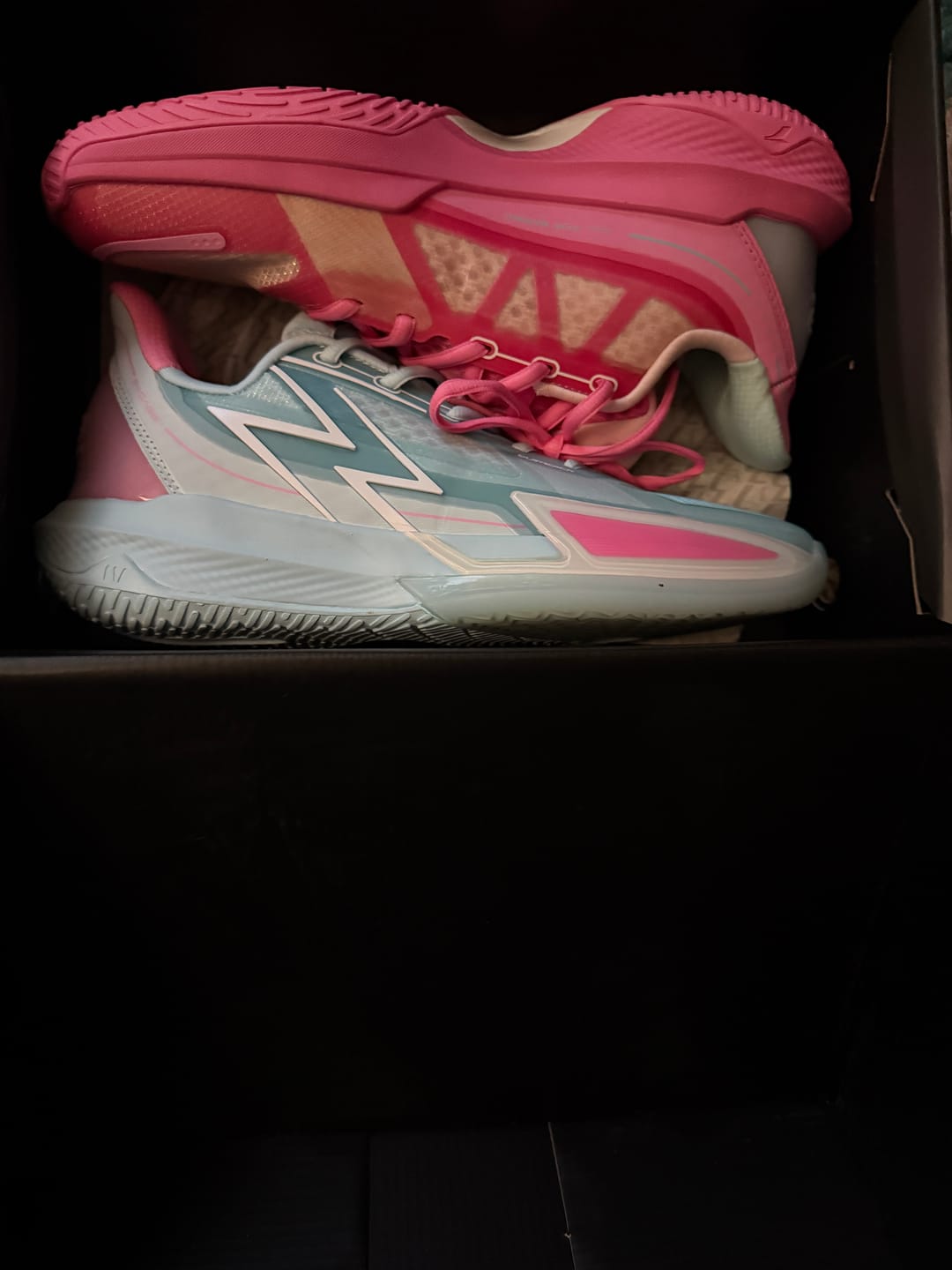 Customer photo review of BIG3 4.0 Quick "Reverse"