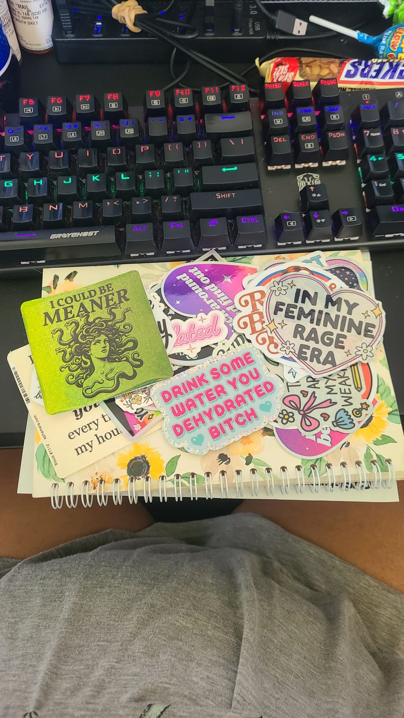 Customer photo review of I Could Be Meaner Glitter Sticker