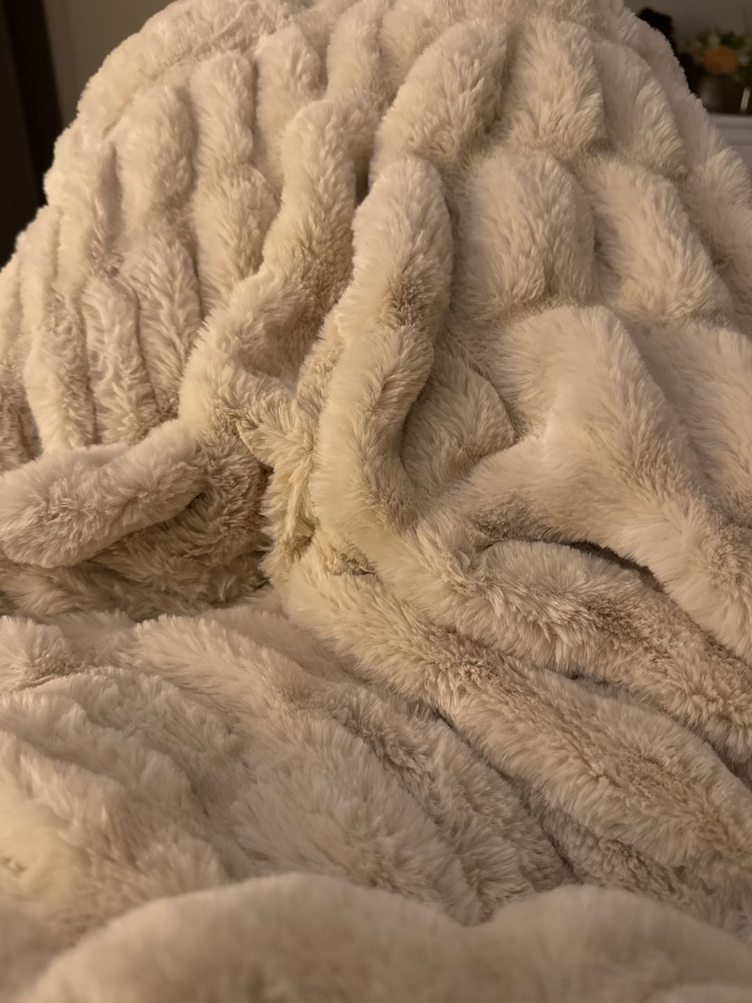 Customer photo review of Hugs Creme Brulee Blanket