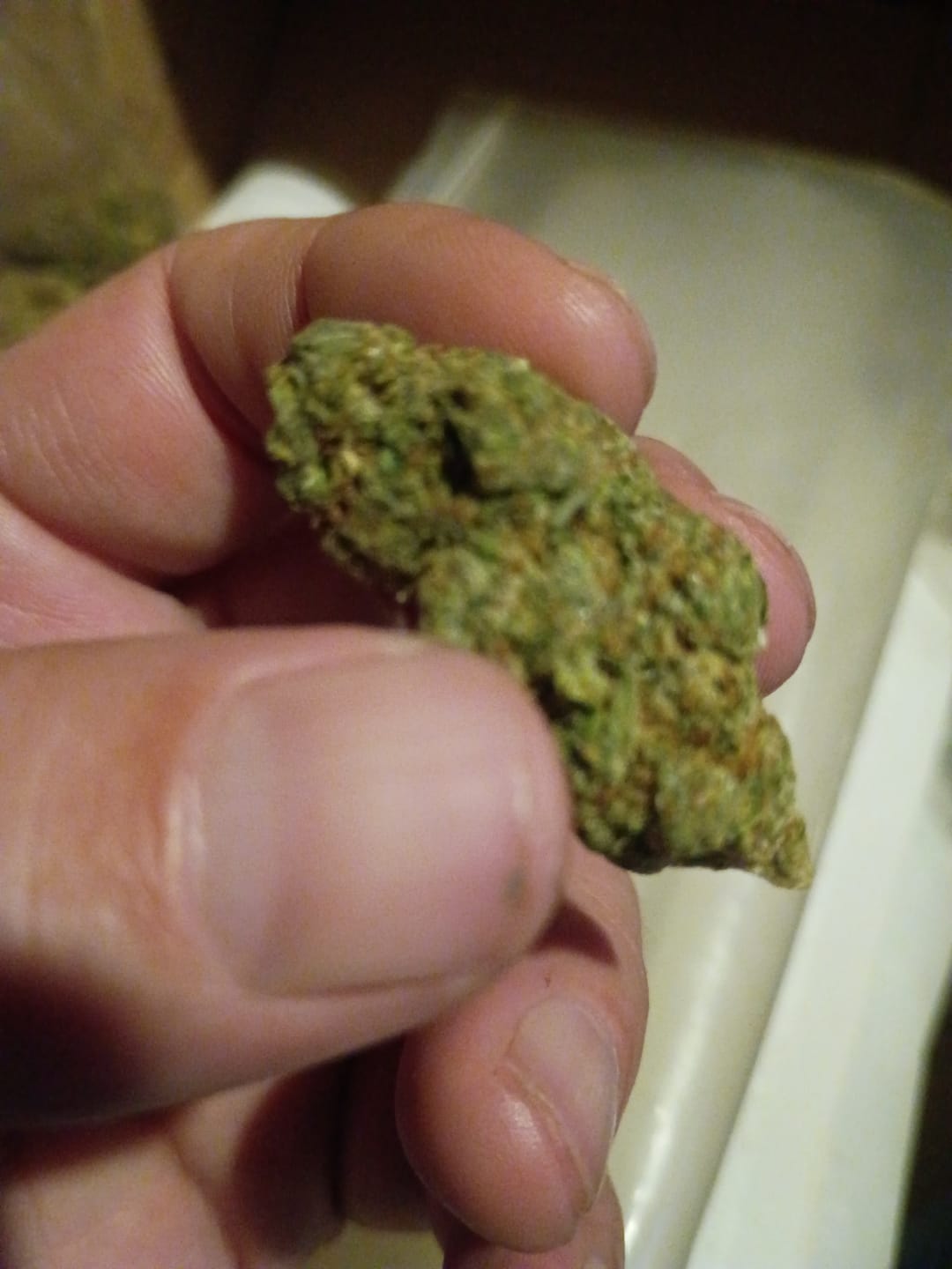 Customer photo review of Champelli THCA Flower
