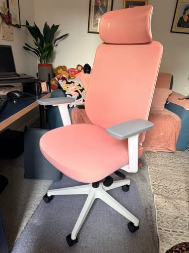 Customer photo review of Ergonomic High Back Mesh Office Chair