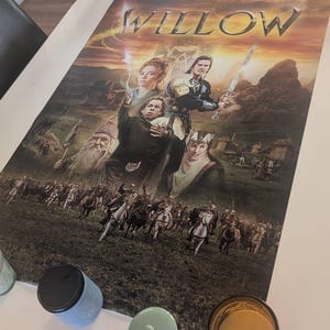 Customer photo review of Room (2016) - Premium Movie Poster