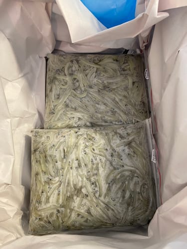 Customer photo review of Whitebait NZ (Westcoast) Frozen
