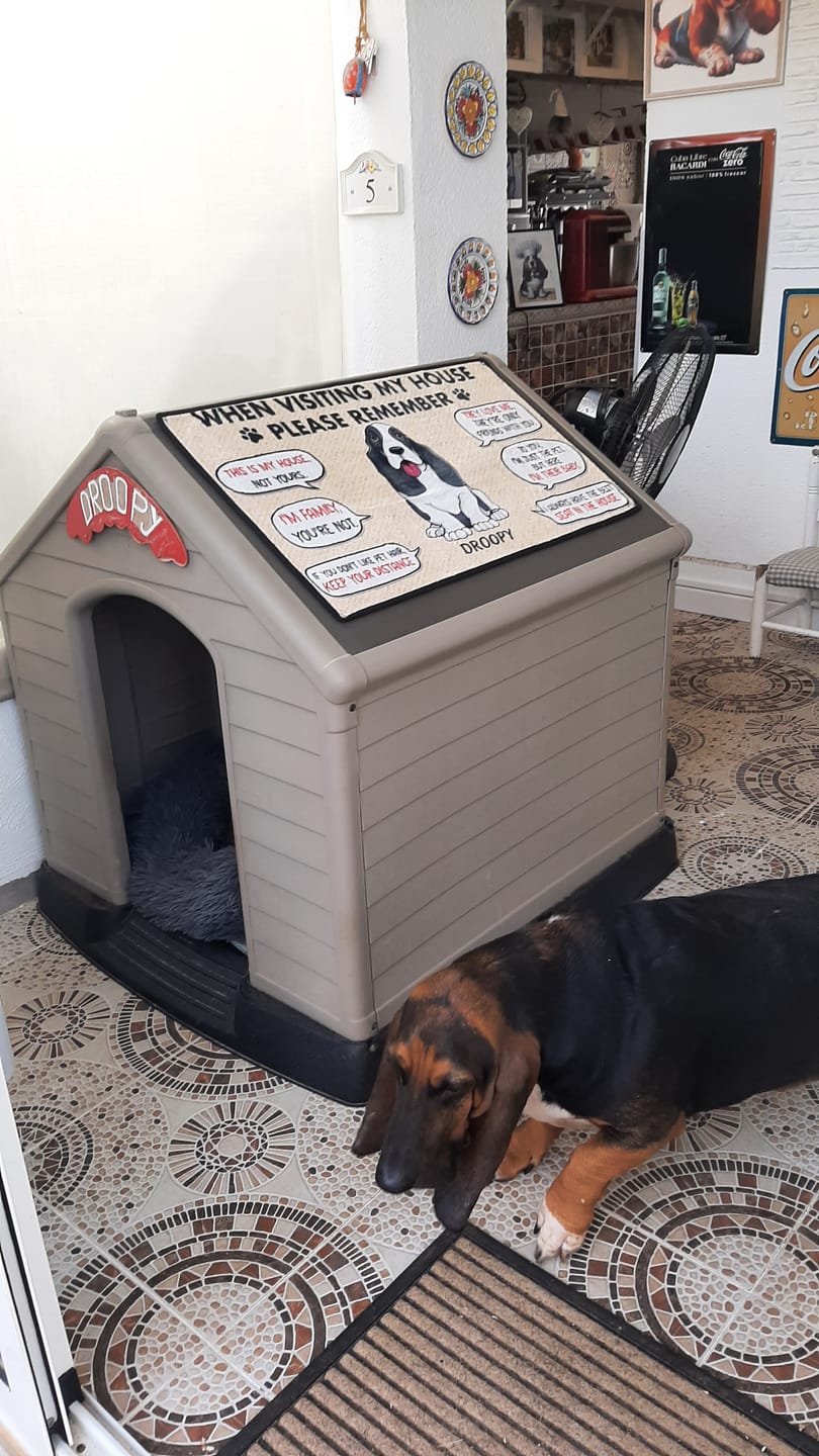 Customer photo review of Visting My House Please Remember, Personalized Doormat, Custom Gift For Dog Lovers