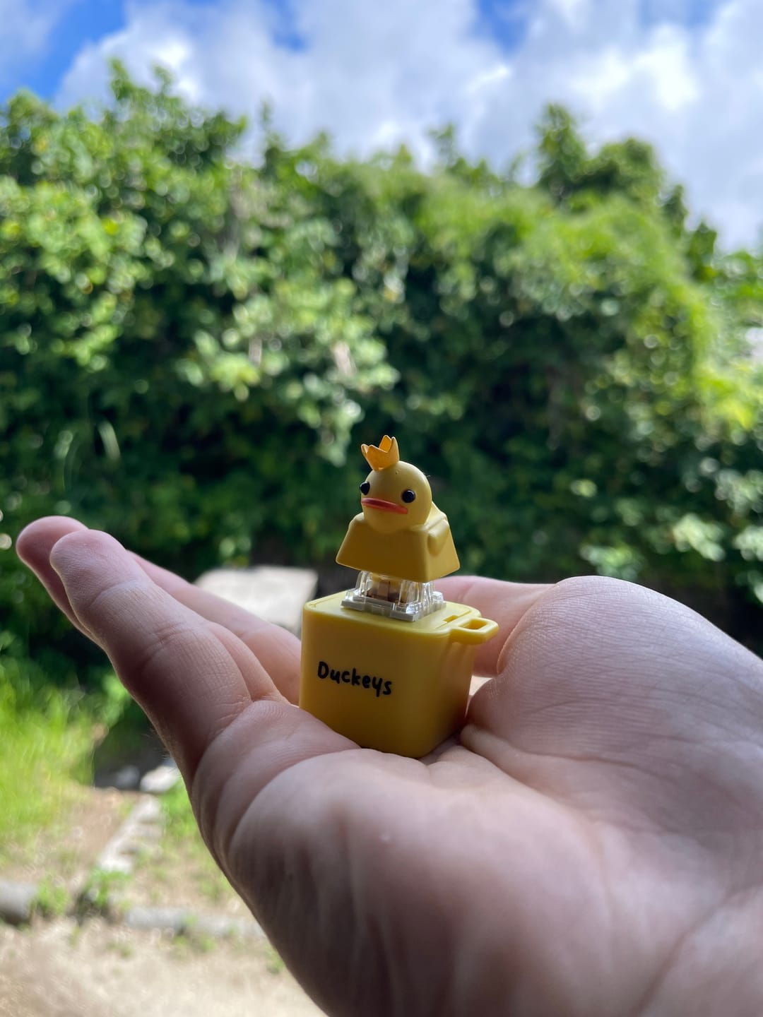 Customer photo review of Mystery Quackey Series 1 - Fidget Toy that Quacks!