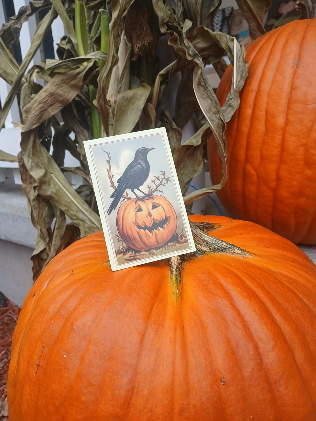 Customer photo review of Halloween Crow – Catholic Halloween Holy Card – All Hallows' Eve – pack of 10/100/1000 #159