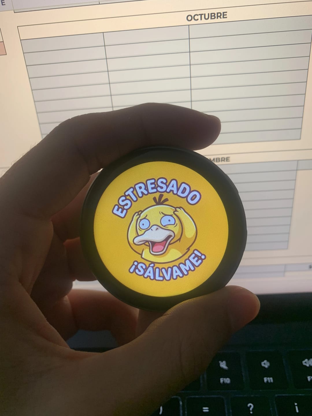 Customer photo review of Bit Pin | Poké Mood