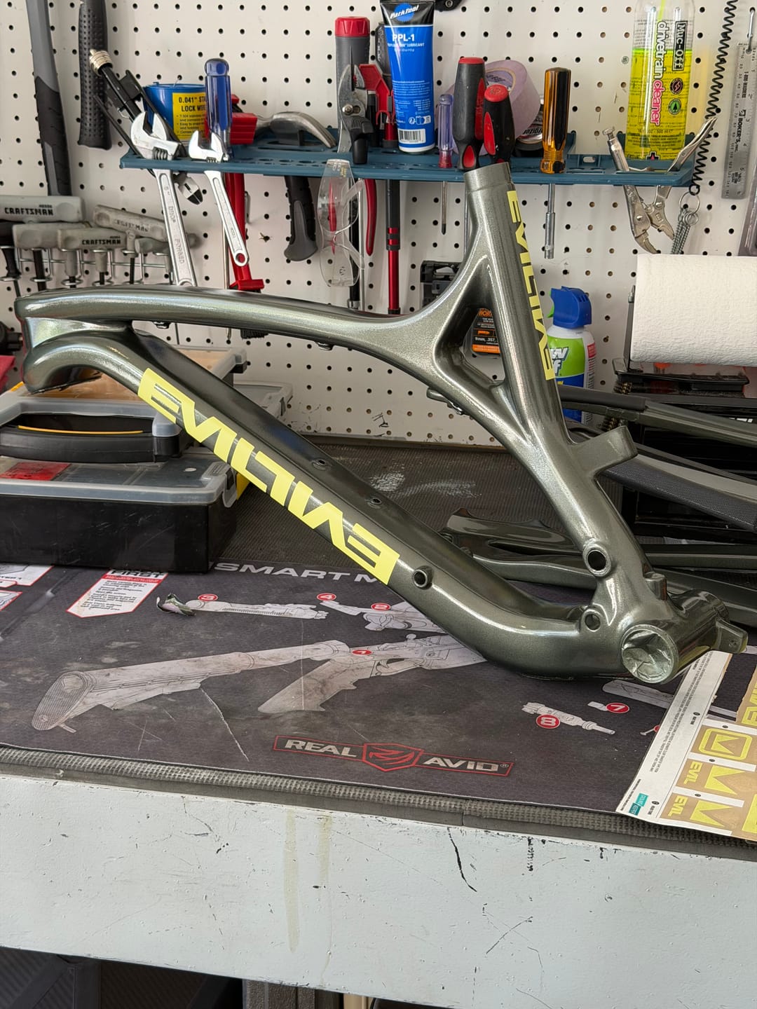 Customer photo review of Custom 2015-2019 Evil Decal Kit