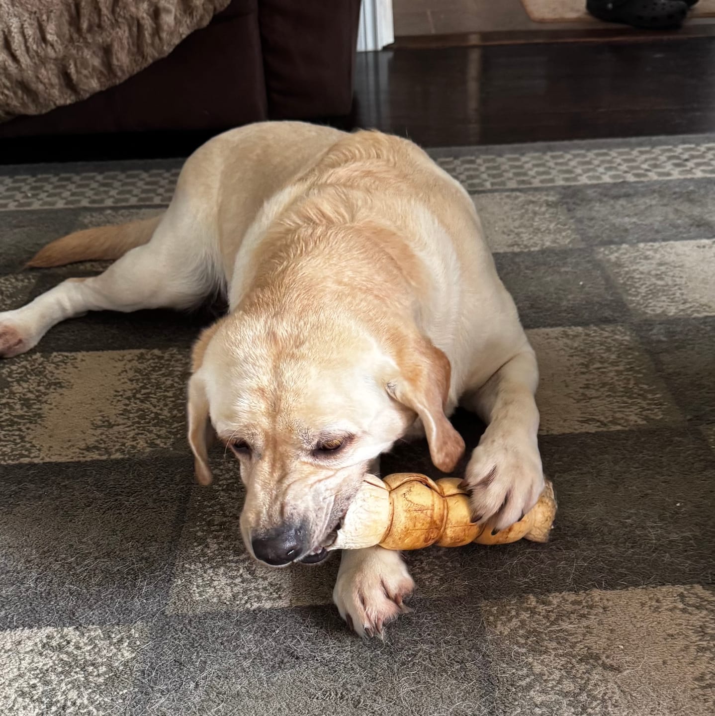 Customer photo review of 10-12 Inch Peanut Butter Cheek Roll