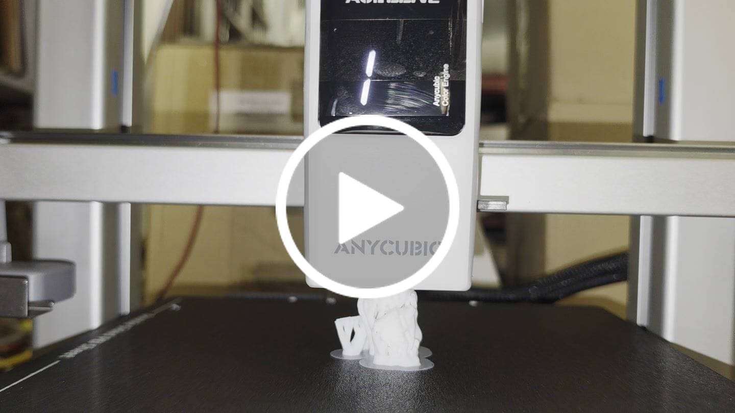 Customer video review of Anycubic Kobra X