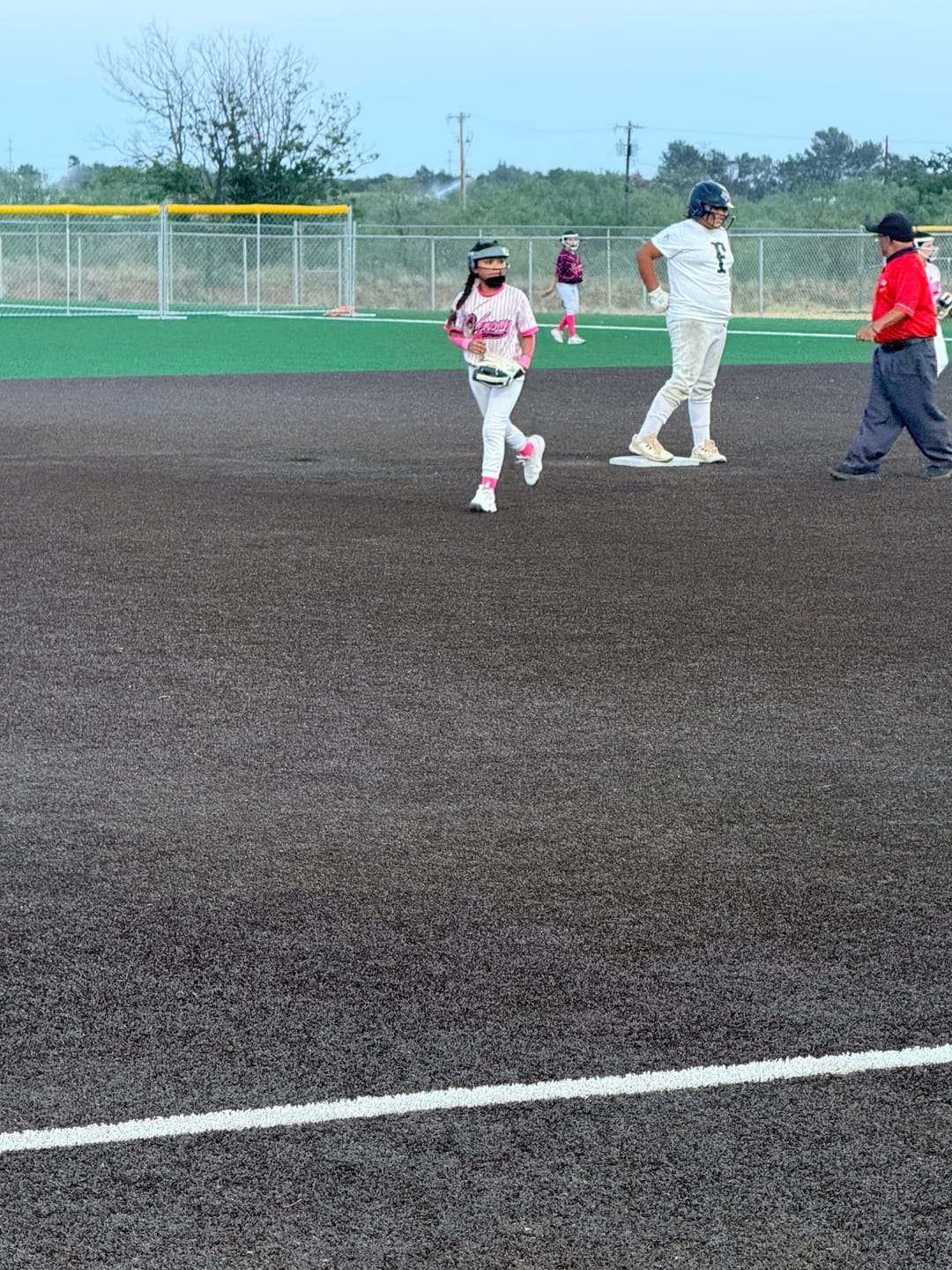 Customer photo review of NEO Softball Fielder's Mask