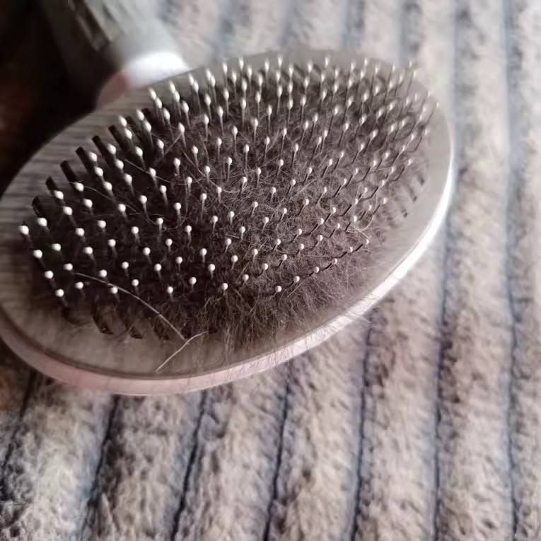 Customer photo review of Pet Bath Brush for Small Dogs & Cats