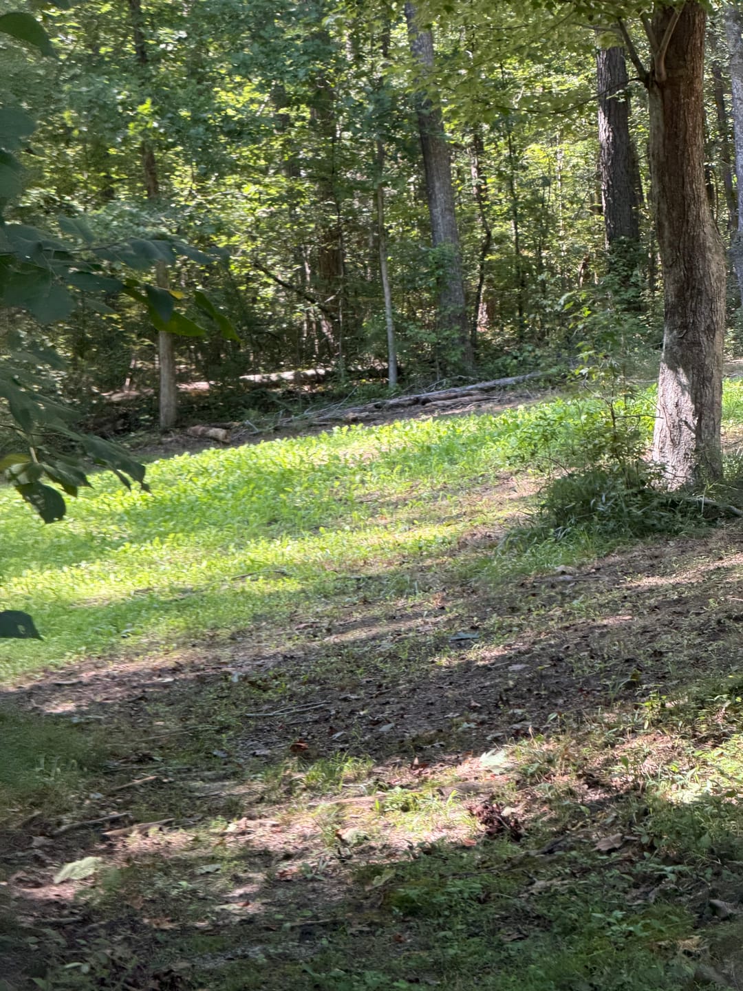 Customer photo review of No Till No Problem