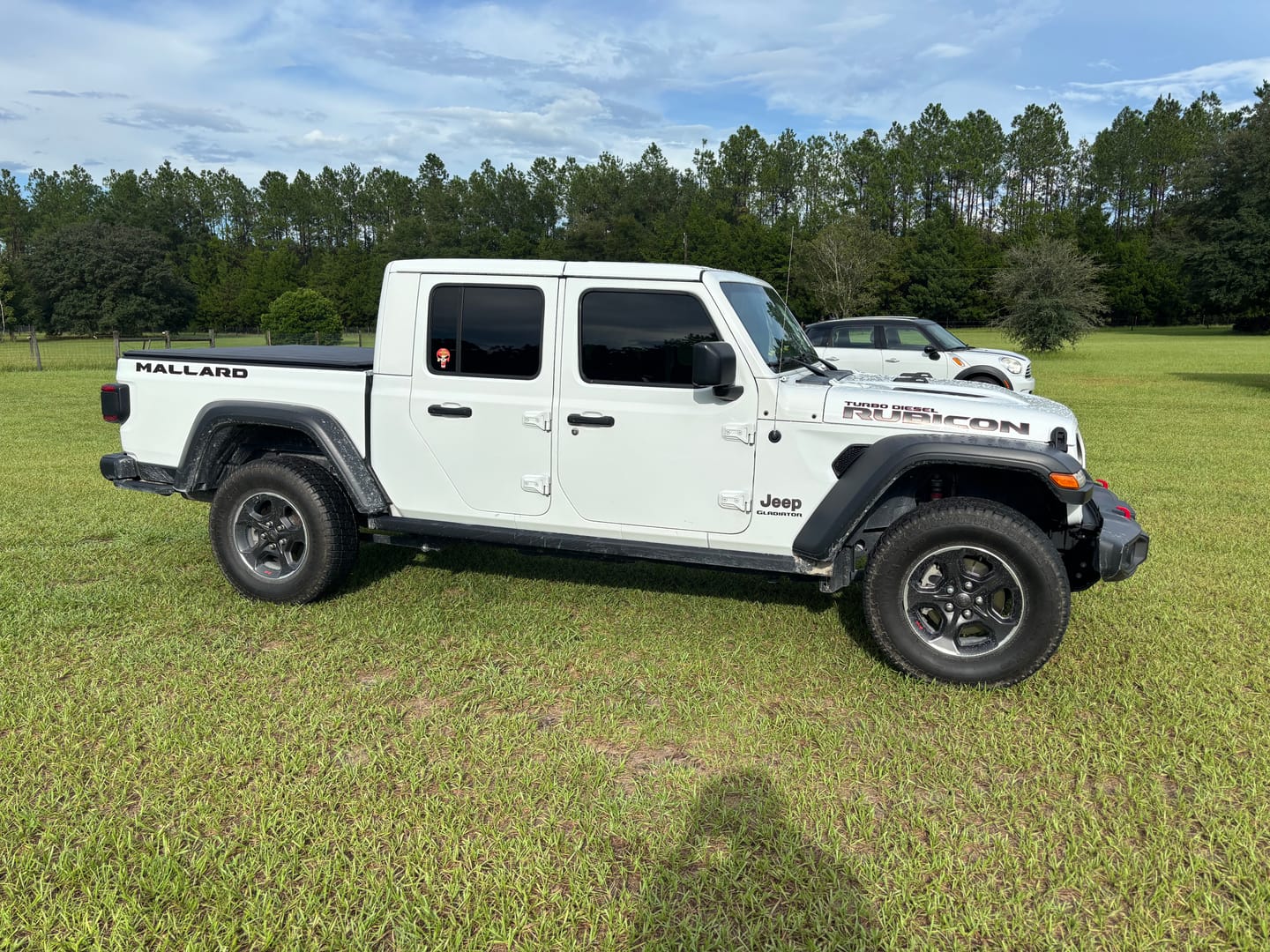 Customer photo review of Premium Hood Lettering | Set of 2