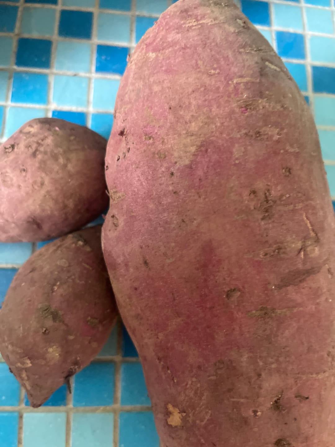 Customer photo review of Süsskartoffel violett "Okinawa" Bio & Demeter