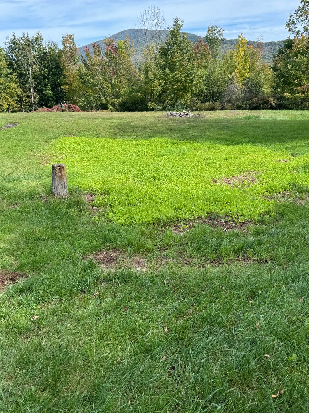 Customer photo review of No Till No Problem