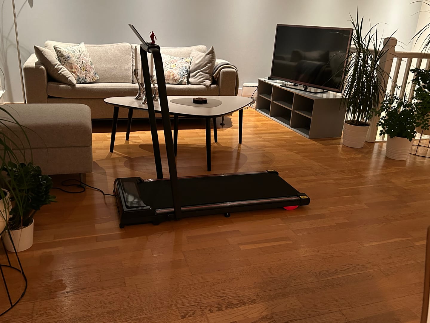Customer photo review of TrueNordic Luksus Tredemølle