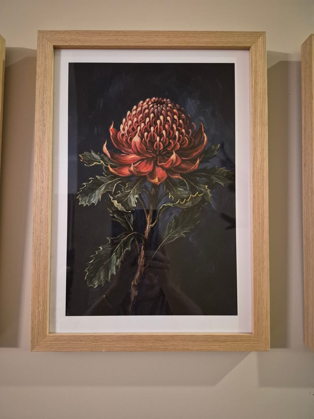 Customer photo review of Waratah On Navy Botanicals Study | Art Print
