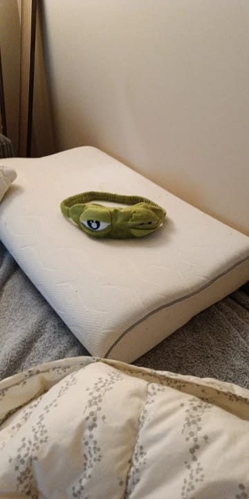 Customer photo review of Froggy's Ribbit Sleep Mask