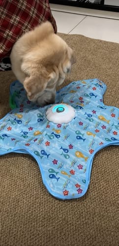 Customer photo review of Pawzzle™ Interactive Dog Toy