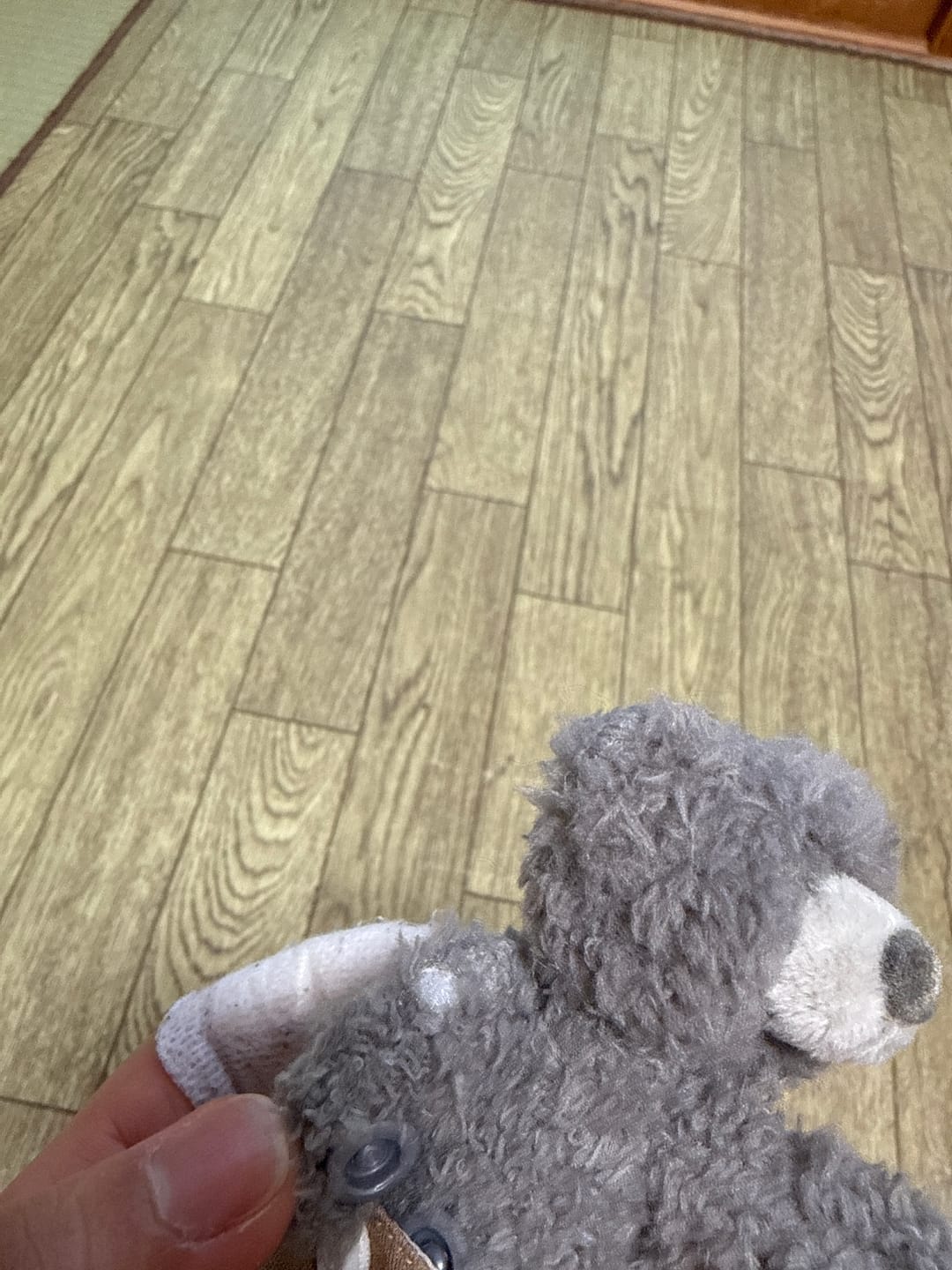 Customer photo review of 13DE MARZO Bear Print Dog T-Shirt – Black Short Sleeve