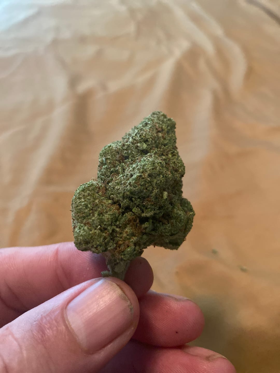 Customer photo review of Strawberry Cough THCA Flower
