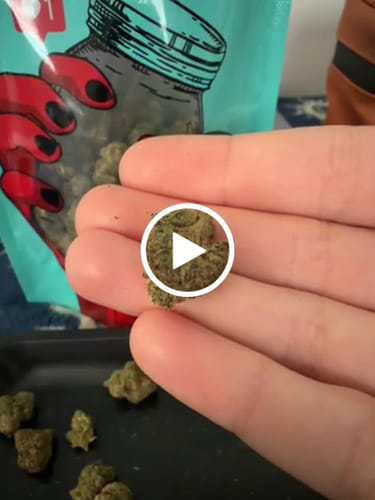 Customer video review of Blue Dream (Indoor Smalls) - THCA Flower