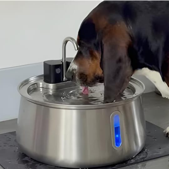 Customer photo review of Pawlyn PureSip itató