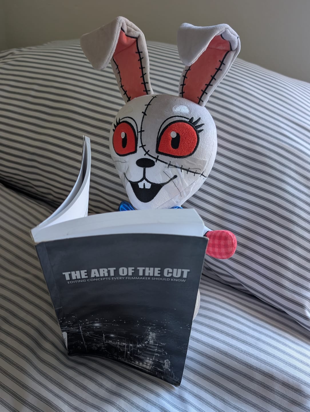 Customer photo review of Five Nights at Freddy's: Security Breach - Vanny Collector's Plush