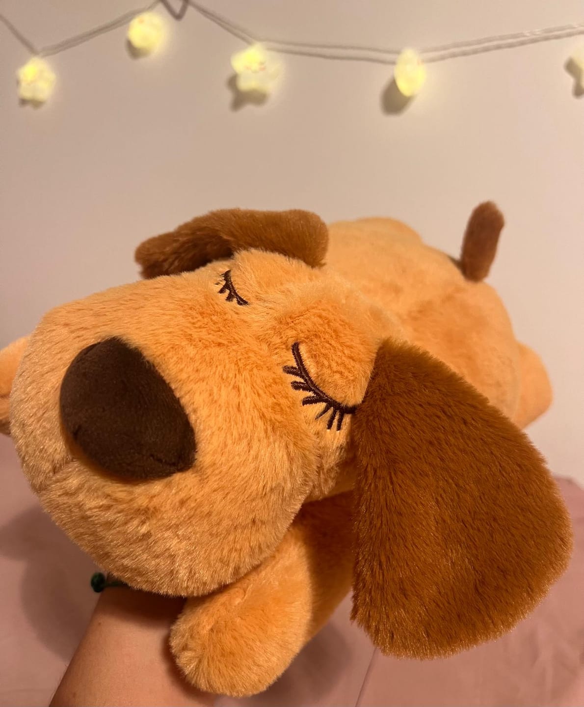 Customer photo review of Abbracciotto™ – Peluche Anti Ansia per Cani e Gatti