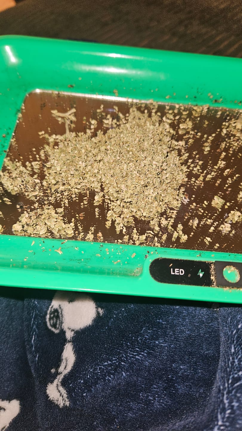 Customer photo review of Dosido | THCA Flower